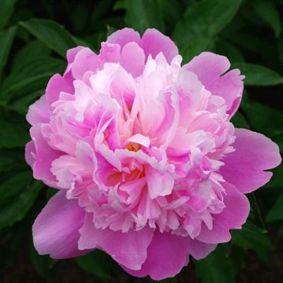 天博体育官网入口手机app下载